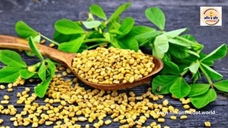 मेथी के फायदे सर्दियों में मेथी के पत्तों का सेवन करें, यह कई बीमारियों के लिए रामबाण