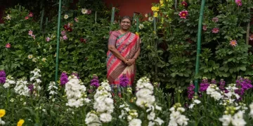 राष्ट्रपति द्रौपदी मुर्मु ने किया उद्यान उत्सव का उद्घाटन, मंगलवार से आम लोगों के लिए खुलेगा