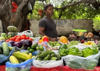 भारत में क्यों बढ़े रह सकते हैं खाने-पीने की चीजों के दाम