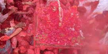 रंगभरी एकादशी