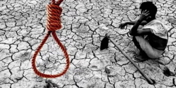 कर्ज में डूबे खेत और किसान, 6 महीने में 520 आत्महत्याएं