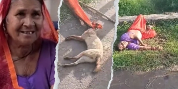 साड़ी से गर्दन कस मार डाला, सियार से लड़ते-लड़ते बेहोश; बुजुर्ग महिला की गजब दिलेरी