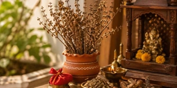 सूखी तुलसी भी है शुभ, जानिए समृद्धि के पारंपरिक उपाय