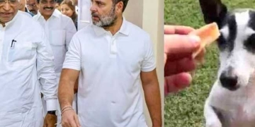 रणनीतिक बैठक के बीच पालतू कुत्ते पिडी की एंट्री, राजनीतिक हलकों में चर्चा