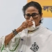 ममता ने एक और गढ़ गंवाया; जहां चलता था भतीजे का सिक्का,वहां TMC के झंडे नहीं बचे